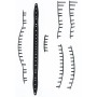 BABOLAT pure drive 110 2018 rod