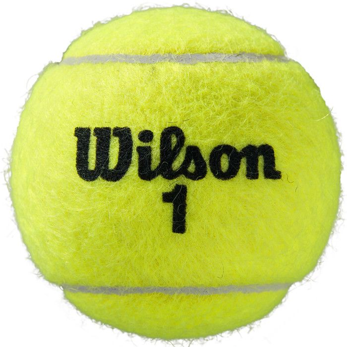 Tube of 4 WILSON roland garros all court balls