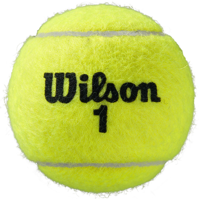 Tube of 4 WILSON roland garros clay court balls