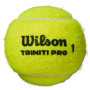 Tube of 4 WILSON triniti pro balls Tube of 4 WILSON triniti pro balls