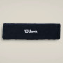 Bandeau WILSON logo Bandeau WILSON logo