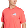 T-shirt ADIDAS graphic pickleball T-shirt ADIDAS graphic pickleball